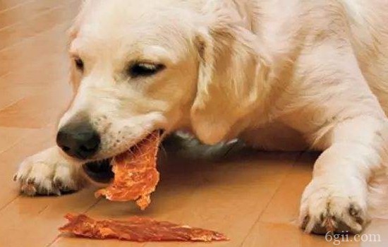 狗狗驱虫能吃人吃的吗 剂量弄不好狗狗就会丧命！