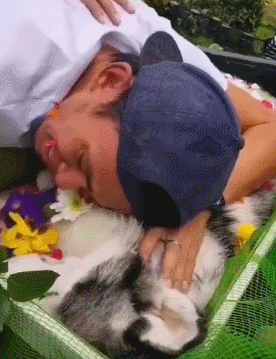狗狗因病去世 下葬前主人最后亲吻了它 狗：我们来世再见哦